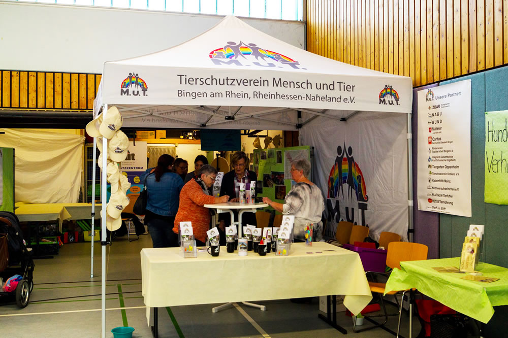 MUT – Faltpavillon